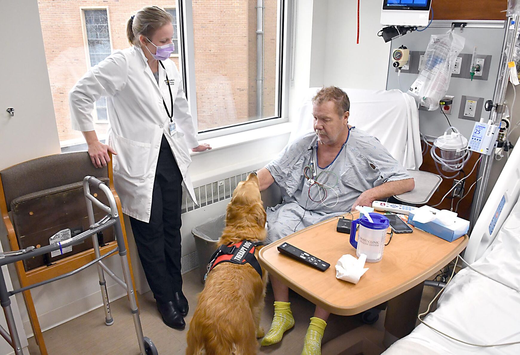 Hospital therapy dog 4